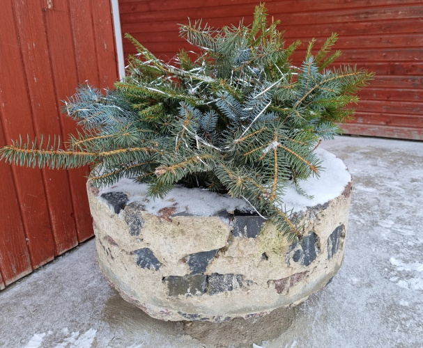 Pūdnīka Ilmāra (Pūdu svātkūs 2017. godā ) taiseitais puķu pūds vēļ niu atsarūn pi Aulejis tautys noma, juo saturs i nūformiejums mainuos atkareibā nu godalaika
